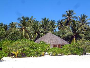  Hotel Angsana Velavaru Resort & Spa 5 *****/ Atoll Mal�  / �les Maldives