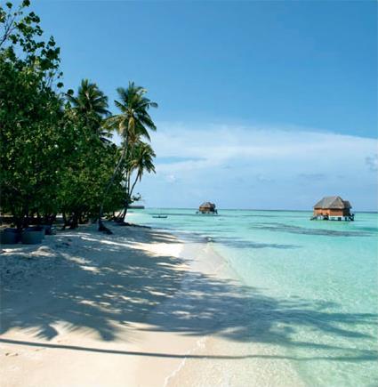 Hotel Meeru Island Resort 3 *** / Atoll Mal Nord / les Maldives