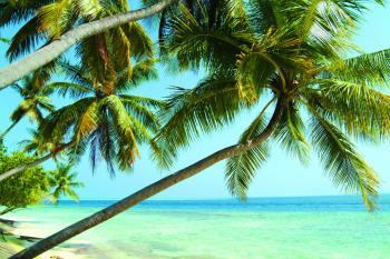 Hotel Biyadhoo 3 *** / Atoll de Mal� Sud / �les Maldives
