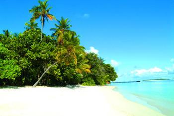Hotel Biyadhoo 3 *** / Atoll de Malé Sud / Îles Maldives