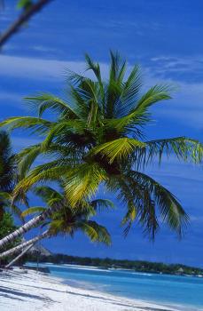 Hotel Four Seasons Kuda Huraa 5 *****/ Atoll Malé Nord / Îles Maldives