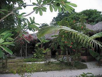 Hotel Kuramathi Cottage Club & Spa 4 **** / Atoll de Rasdhu / Îles Maldives