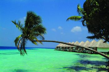 Hotel Coco Palm Boduhithi Resort & Spa 5 ***** /Atoll de Mal� Nord / �les Maldives