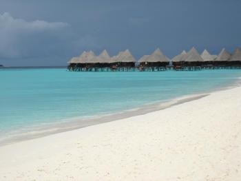Hotel Coco Palm Dhuni Kolhu Resort & Spa 5 ***** / Îles Maldives