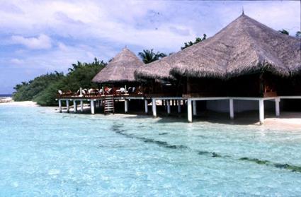 Hotel Eriyadu Island Resort 3 *** / Atoll de Mal� Nord / �les Maldives