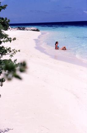 Hotel Eriyadu Island Resort 3 *** / Atoll de Mal� Nord / �les Maldives