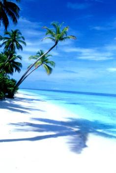 Hotel Filitheyo Island Resort 4 ****/ Atoll de Faafu / Îles Maldives