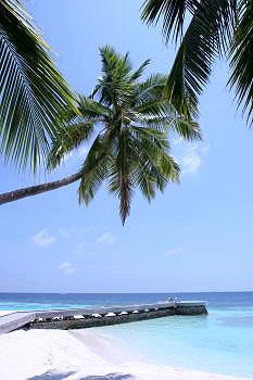 Hotel Huvafen Fushi 5 ***** / Atoll de Malé Nord / Îles Maldives