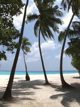 Hotel Laguna Beach Resort 5 ***** / Îles Maldives