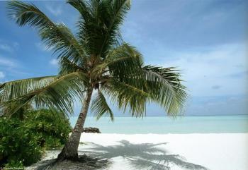 Hotel Rihiveli 3 *** / �les Maldives