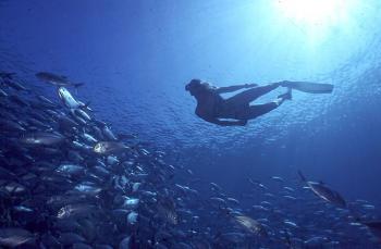 Hotel Soneva Fushi Resort & Spa 5 ***** / Baa / �les Maldives