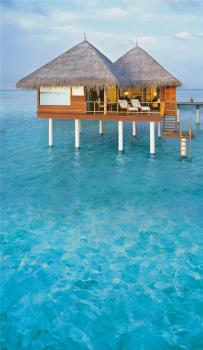 Hotel Taj Exotica Resort & Spa 5 ***** luxe / Atoll de Malé / Îles Maldives