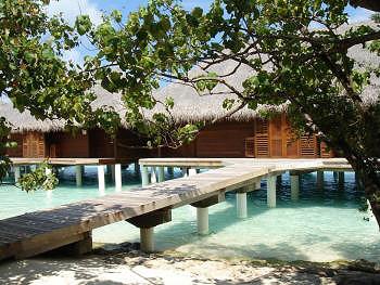 Hotel Taj Exotica Resort & Spa 5 ***** luxe / Atoll de Mal� / �les Maldives
