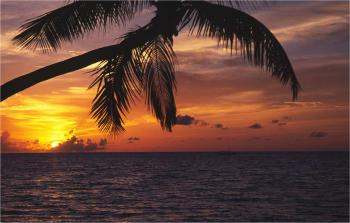 Hotel Velidhu 4 **** / �les Maldives