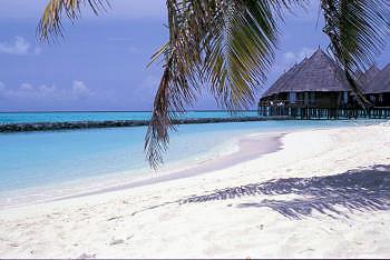 Hotel Velidhu 4 **** / �les Maldives