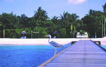 Hotel Velidhu 4 **** / �les Maldives