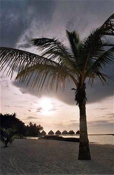 Hotel Velidhu 4 **** / �les Maldives