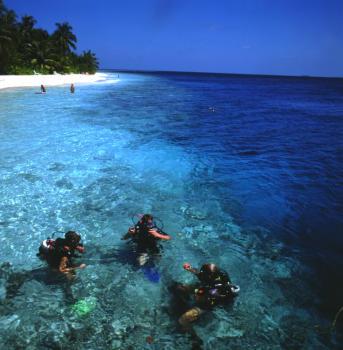 Hotel Vilamendhoo Island Resort 3 ***/ Atoll d'Ari / Îles Maldives
