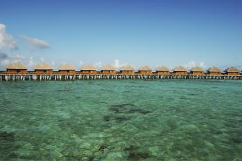 Hotel Vilu Reef Beach & Spa Resort 4**** / Atoll de Dhaalu / �les Maldives