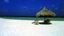 H�tel Maayafushi 4 **** / Atoll d'Ari Nord / �les Maldives