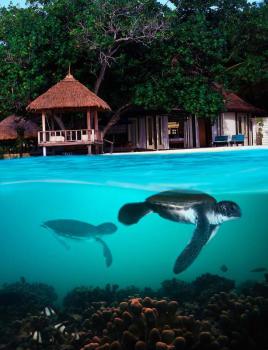 Hotel Banyan Tree Vabbinfaru 5 ***** Luxe / Malé Nord / Îles Maldives