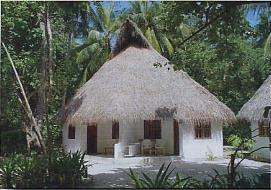 Hotel Fihalhohi 3 *** / Atoll de Mal� Nord / �les Maldives