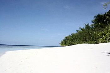 Hotel �le d'Embudu 2 ** / Atoll de Mal� Sud / �les Maldives 