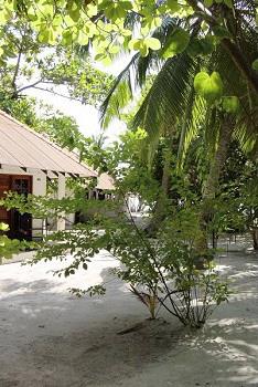 Hotel �le d'Embudu 2 ** / Atoll de Mal� Sud / �les Maldives 