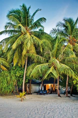 Hotel Holiday Island Resort 4 **** / South Ari Atoll / les Maldives