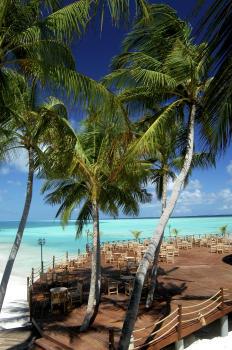 Hotel Vilu Reef Beach & Spa Resort 4**** / Atoll de Dhaalu / Îles Maldives