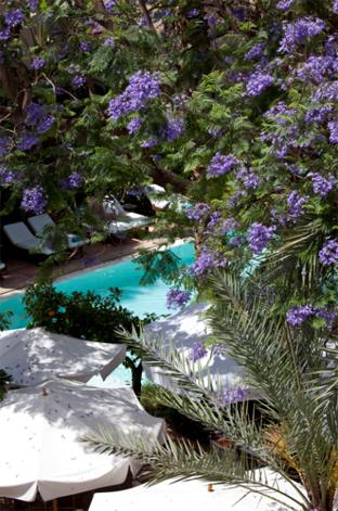Hotel Les Jardins De La M�dina 4 **** / Maroc / Marrakech