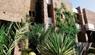 Hotel Mercure Ouarzazate 4 ****/ Maroc / Ouarzazate