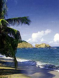 H�tel Domaine Sainte Marie 3 *** / Martinique - Plage