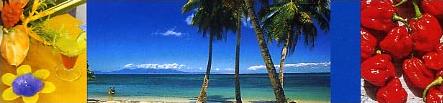 Vacances en Martinique