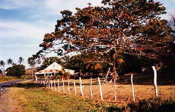Circuit Petites Maisons de Cal�donie / Grande Terre - Maison cal�donienne - C�te est