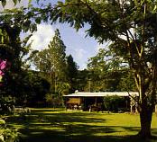 Circuit Petites Maisons de Cal�donie / Grande Terre - Paddock de la Boutana