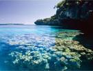 Circuit Puzzle Ouv&eacute;a Lifou / Iles Loyaut&eacute;s / Nouvelle Cal&eacute;donie