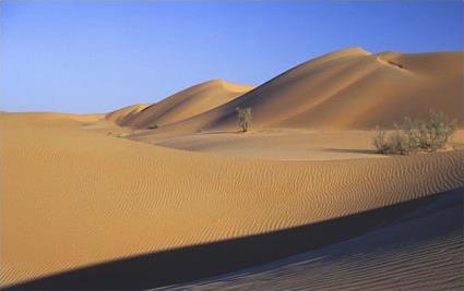 Les Excursions  Oman / De dunes en wadis / Oman