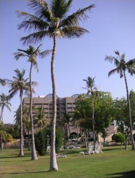 Hotel Inter Continental 5 ***** / Mascate / Oman