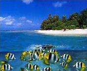 Croisière - Archipels / Îles Sous le Vent / Polynésie Française / Environnement