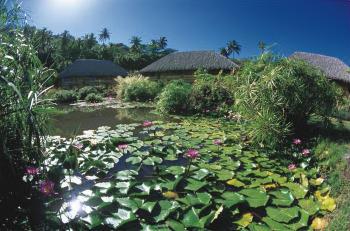 Hotel Novotel Bora Bora Beach Resort 3 *** / Bora Bora