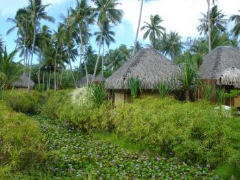 Hotel Pearl Beach Resort 5 ***** / Bora Bora