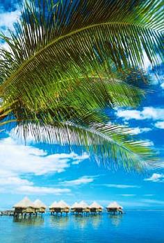 Hotel Le M�ridien 4 ****/ Tahiti