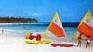 H�tel Paradisus Punta Cana 5 *****/ R�publique Dominicaine