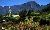 Circuit Fleurs de Canne / La R�union