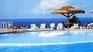 H�tel Mercure Cr�olia 3 *** / Saint Denis / R�union