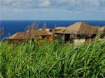 Palm Hotel & Spa 4 **** / Petite �le / La R&eacute;union