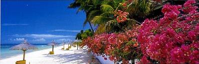 Vacances � l'Ile Rodrigues