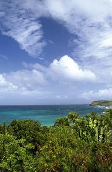 Hotel Guanahani 5 *****/ Saint Jean / Saint-Barthélémy
