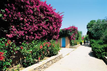 Hotel Agrustos Village 3 *** / Budoni / Sardaigne